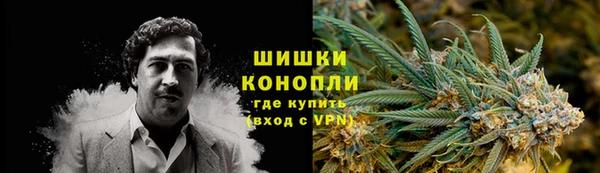 ГАЛЛЮЦИНОГЕННЫЕ ГРИБЫ Абаза
