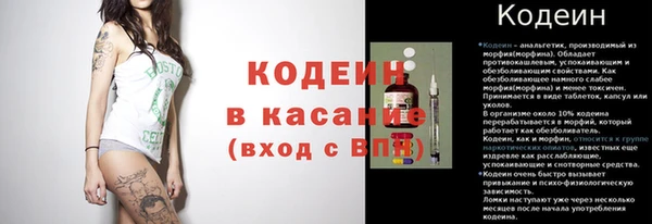 ГАЛЛЮЦИНОГЕННЫЕ ГРИБЫ Абаза
