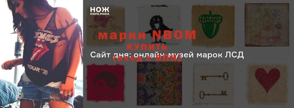 ГАЛЛЮЦИНОГЕННЫЕ ГРИБЫ Абаза