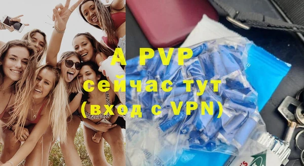 СК Протвино
