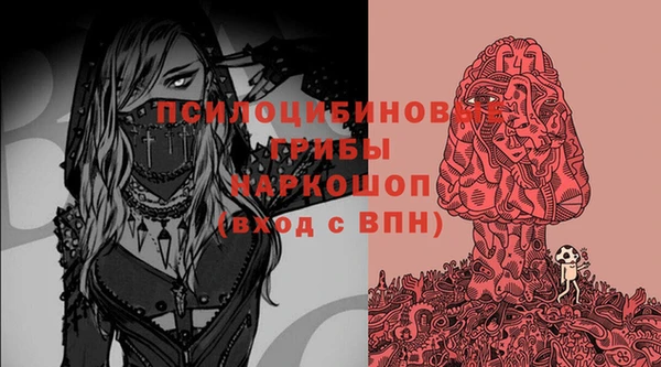 ГАЛЛЮЦИНОГЕННЫЕ ГРИБЫ Абаза