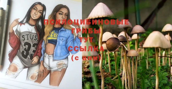 ГАЛЛЮЦИНОГЕННЫЕ ГРИБЫ Абаза