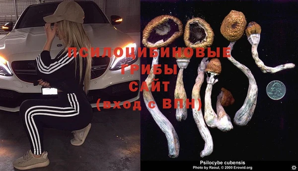 mdpv Абинск