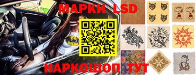 индика Пугачёв