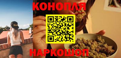 индика Пугачёв