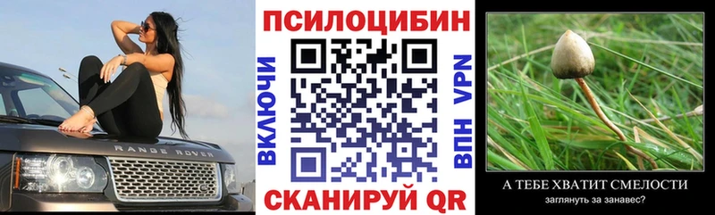 Псилоцибиновые грибы Psilocybe  Истра 